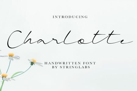 Charlotte Calligraphy Fonts