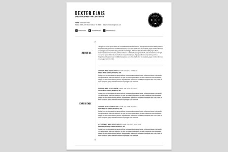 Clean Resume Template Free Download