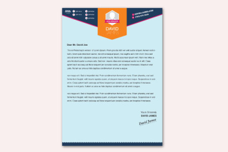 Colorful Stylish Cover Letter