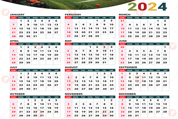 2024 Calendar Vectors Design